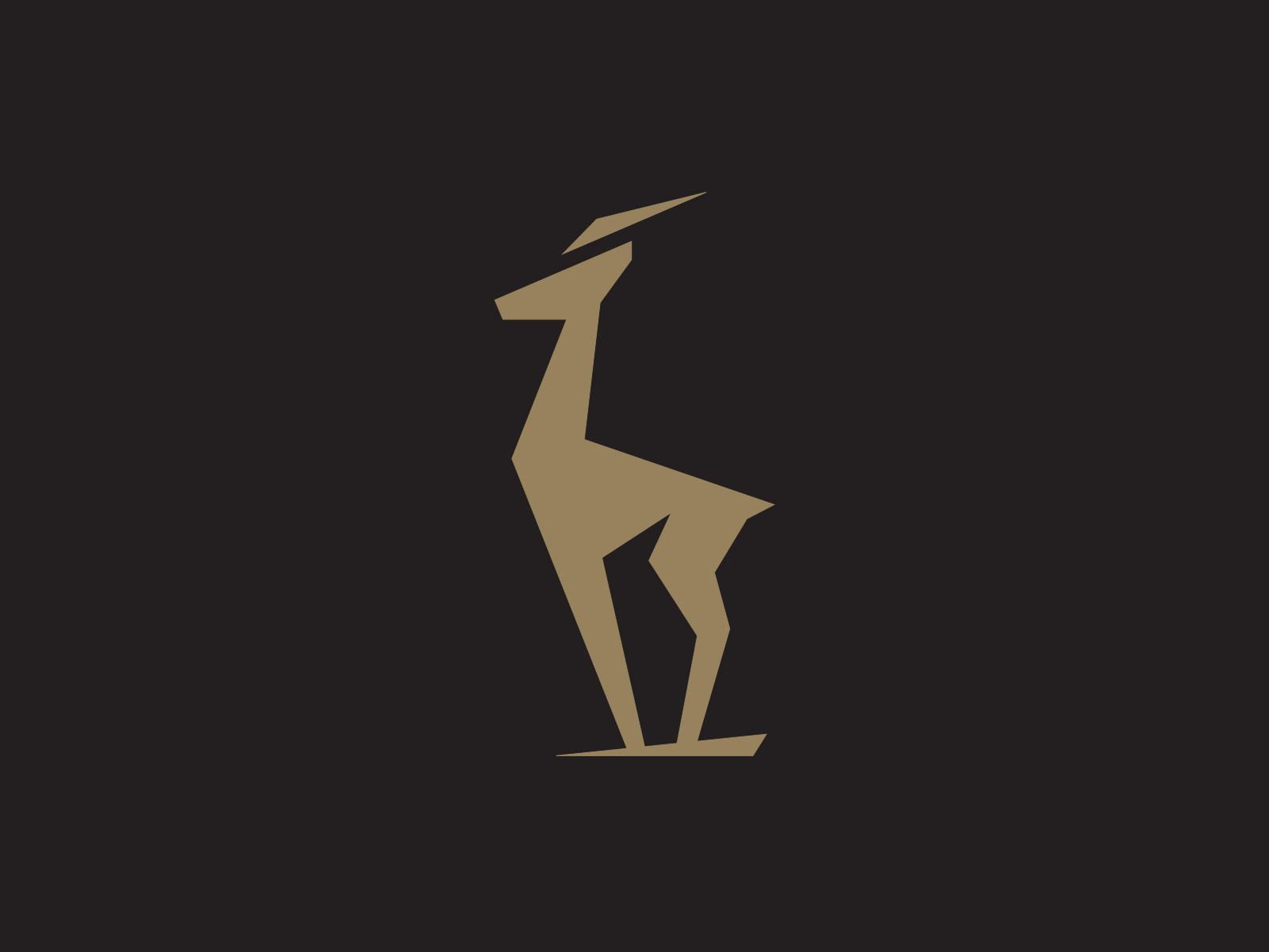 Example of Premium Logo / Brand Mark Design