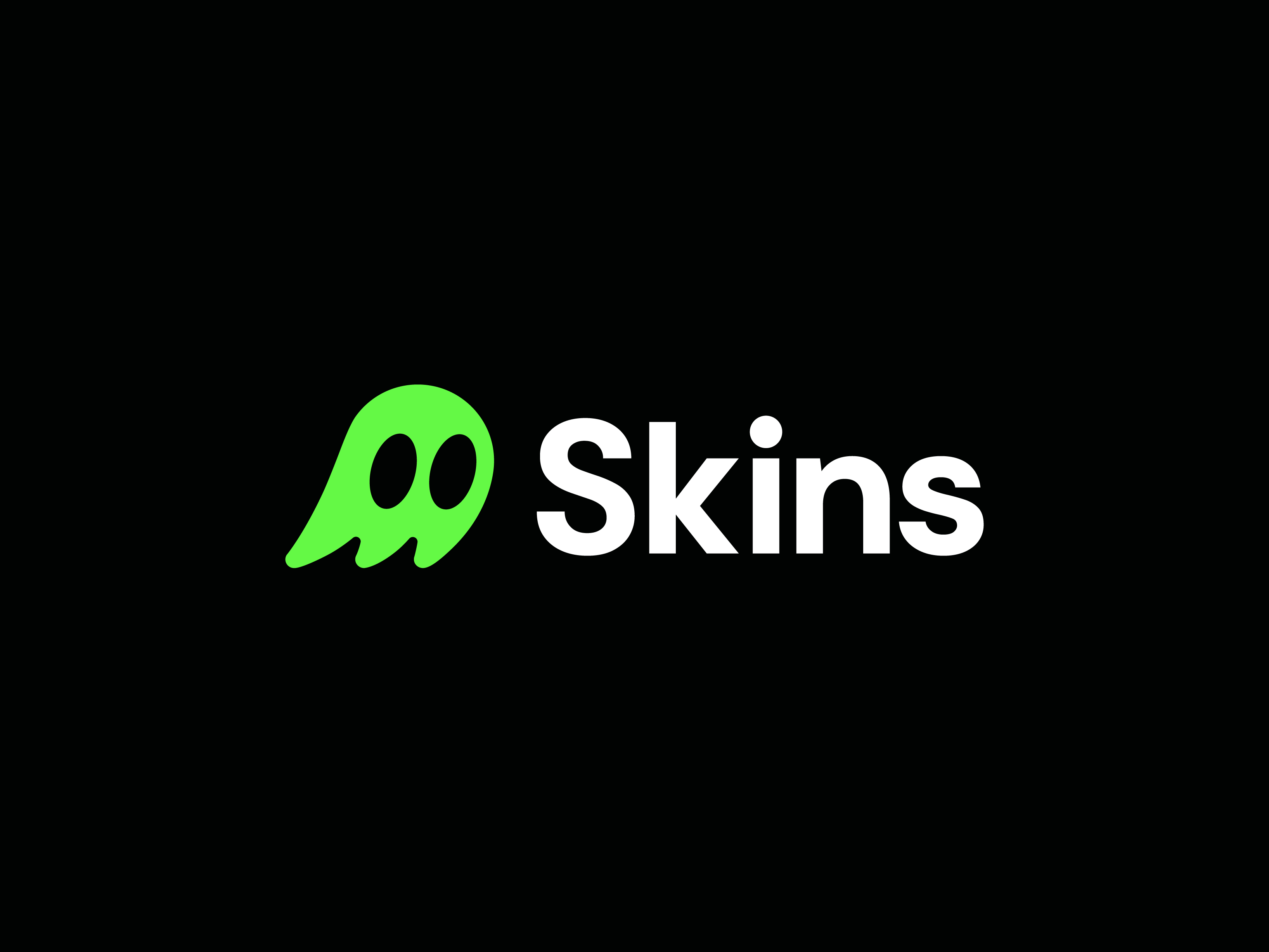 Example of Skins