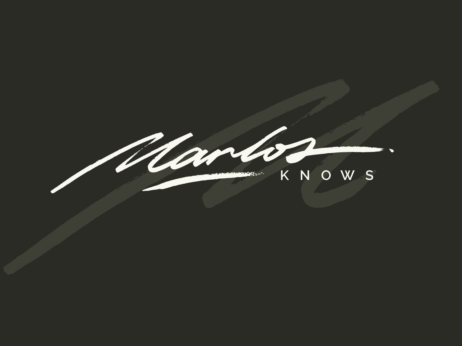Example of Signature Logotype & Basic Branding 
