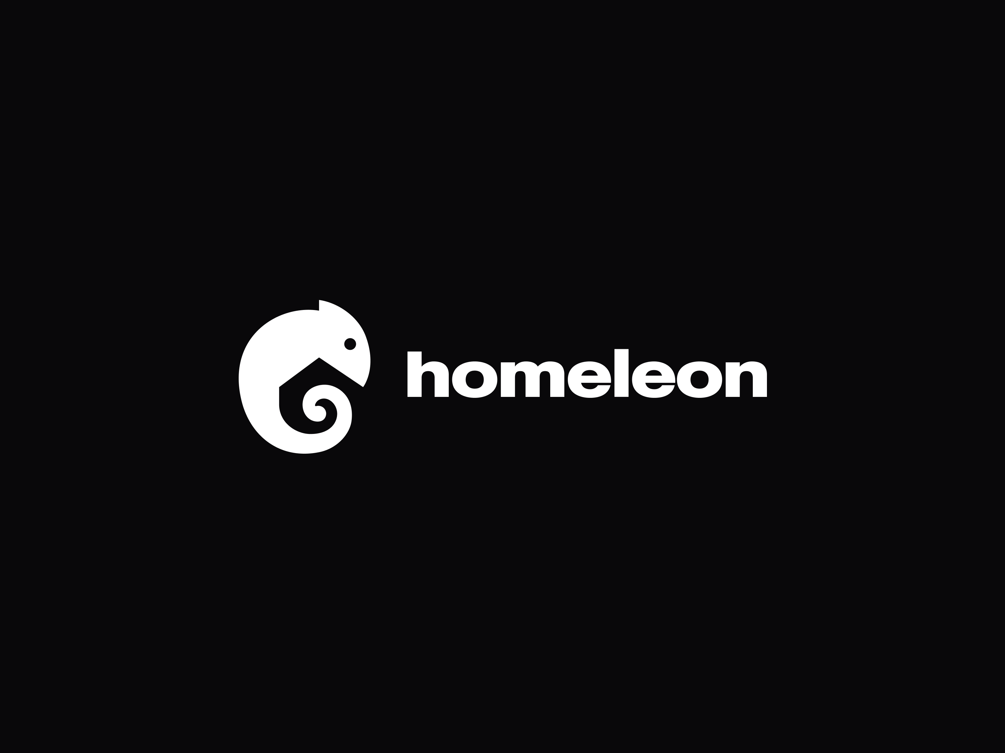 Example of Logo Design