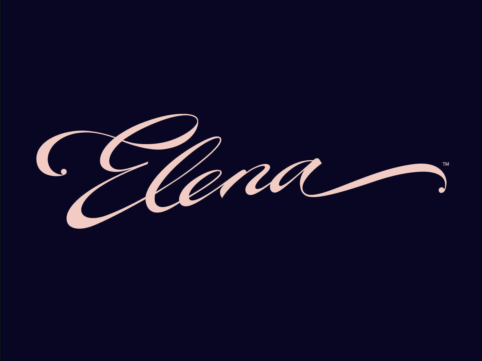 Example of Signature Logotype & Basic Branding 