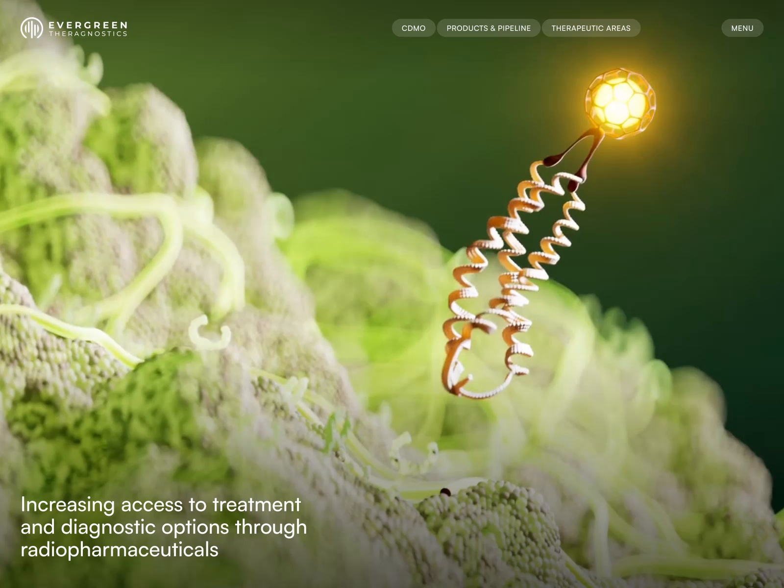 Example of Website Design And Development