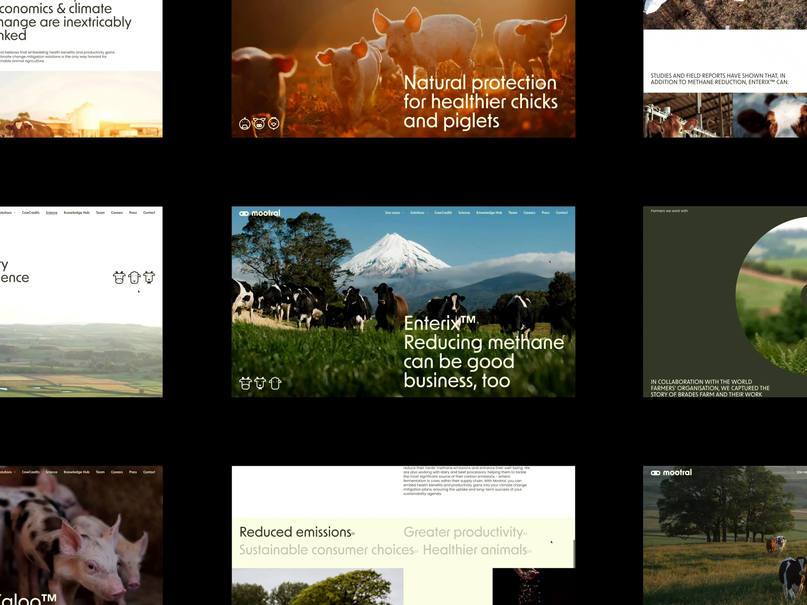 Example of Web Design. Art Direction 