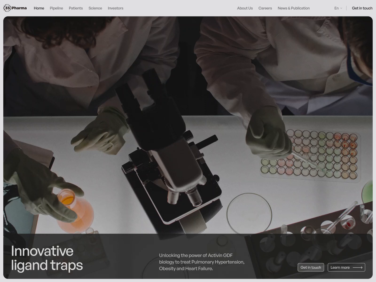 Example of Website Design And Development